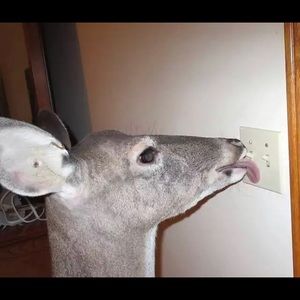 Meet your Posher, Caleb